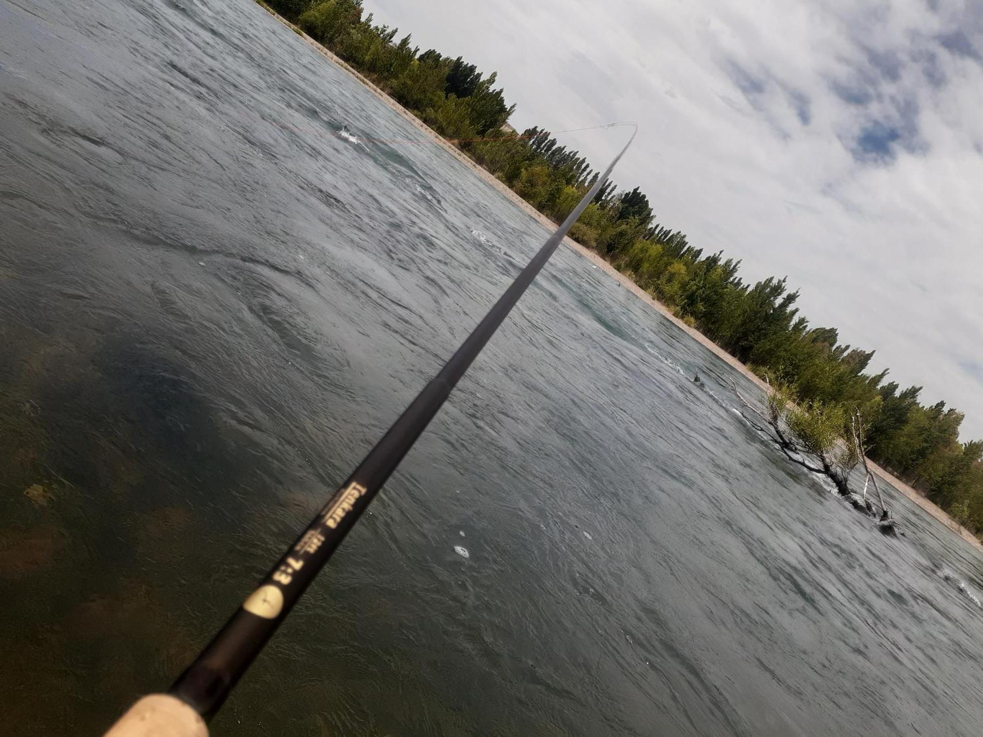 Bardas Del Limay Dormi-Con Hidromasaje - Totalmente Equipado プロッティエル エクステリア 写真